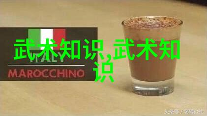 武林十大门派之中国意拳在社会的舞台上展现力量