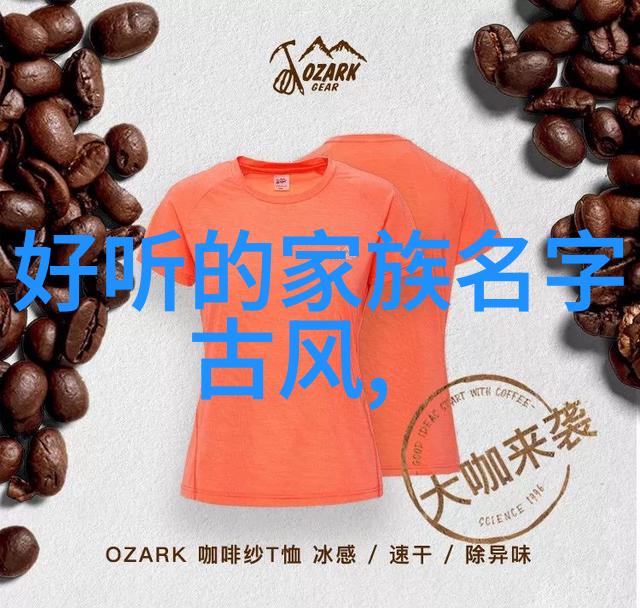 武学秘籍解密揭秘传统武功的核心技术与修炼方法