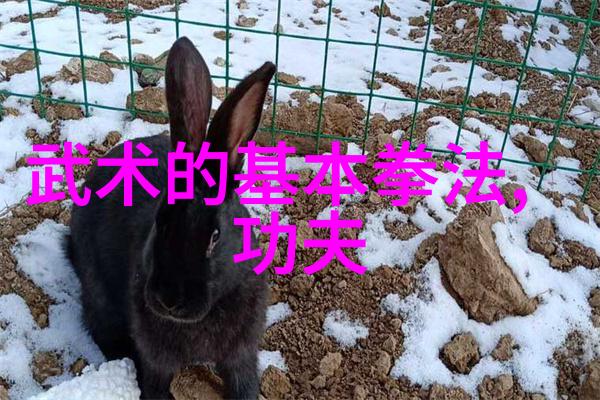 张常宁爆发轰36分中国女排如何逆袭3-2力克巴西花样排球神奇瞬间
