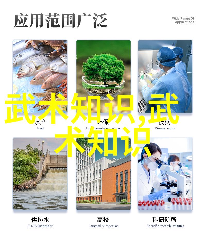 古代神功绝技 - 天地精华揭秘古代武林中的超凡绝技
