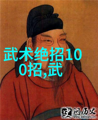 武学启蒙功夫秘籍教学中的关键要素
