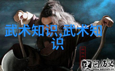 太极拳24式图解 - 具体实践与内在哲学的结合之美