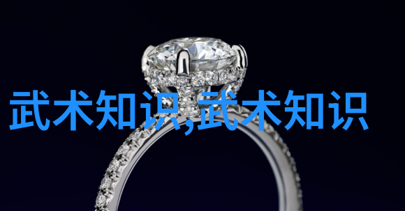 编制个人训练计划利用48式太极拳全套视频带口令