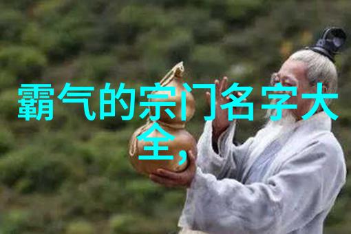 竞彩篮球体测17折返跑时间在自然环境中测试速度与耐力