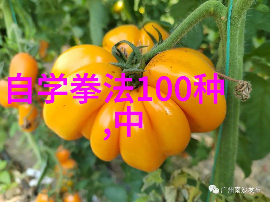 内丹术与外门派十大武功的独特之处
