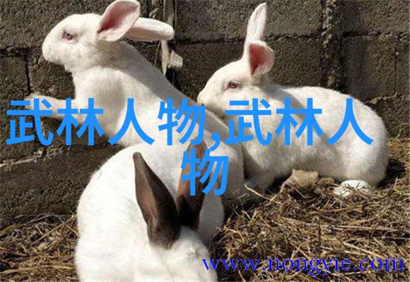 武功秘籍大全 拳法拳技精髓击破招式
