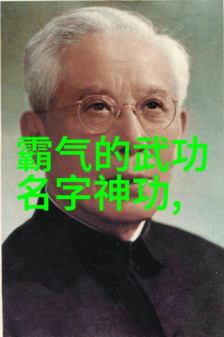 浅谈意练太极拳探秘少林武功秘籍大全人物体验闻发展