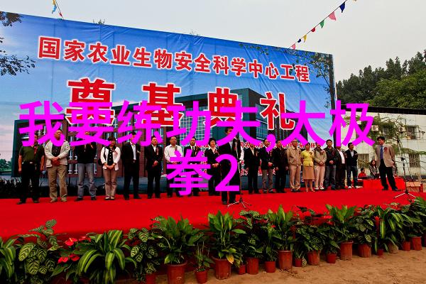 古代武术训练方法之谜揭秘传统功夫的修炼奥秘