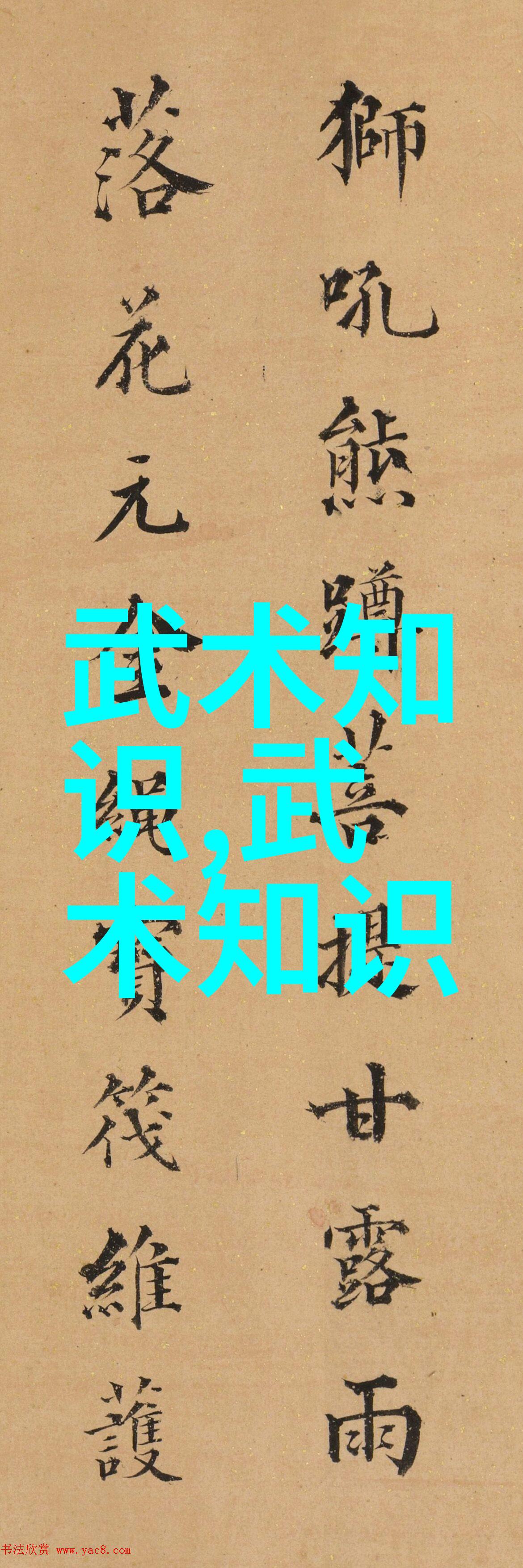 武林八大门派掌门人江湖智者武学精英