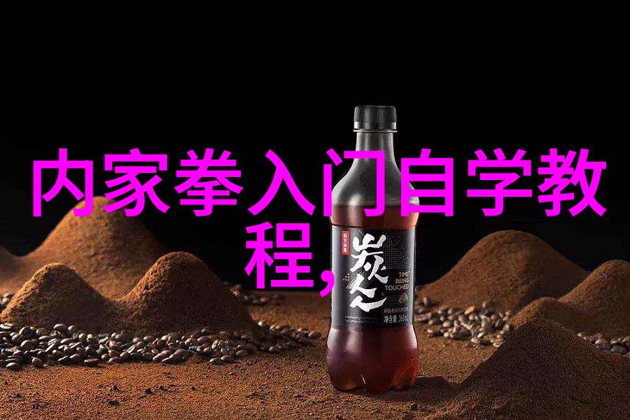 中国武术巅峰之冠龙形太极门霸主一派
