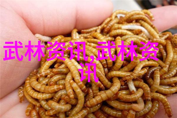 武林资讯揭秘古籍中隐藏的武学秘诀有哪些值得一探究竟