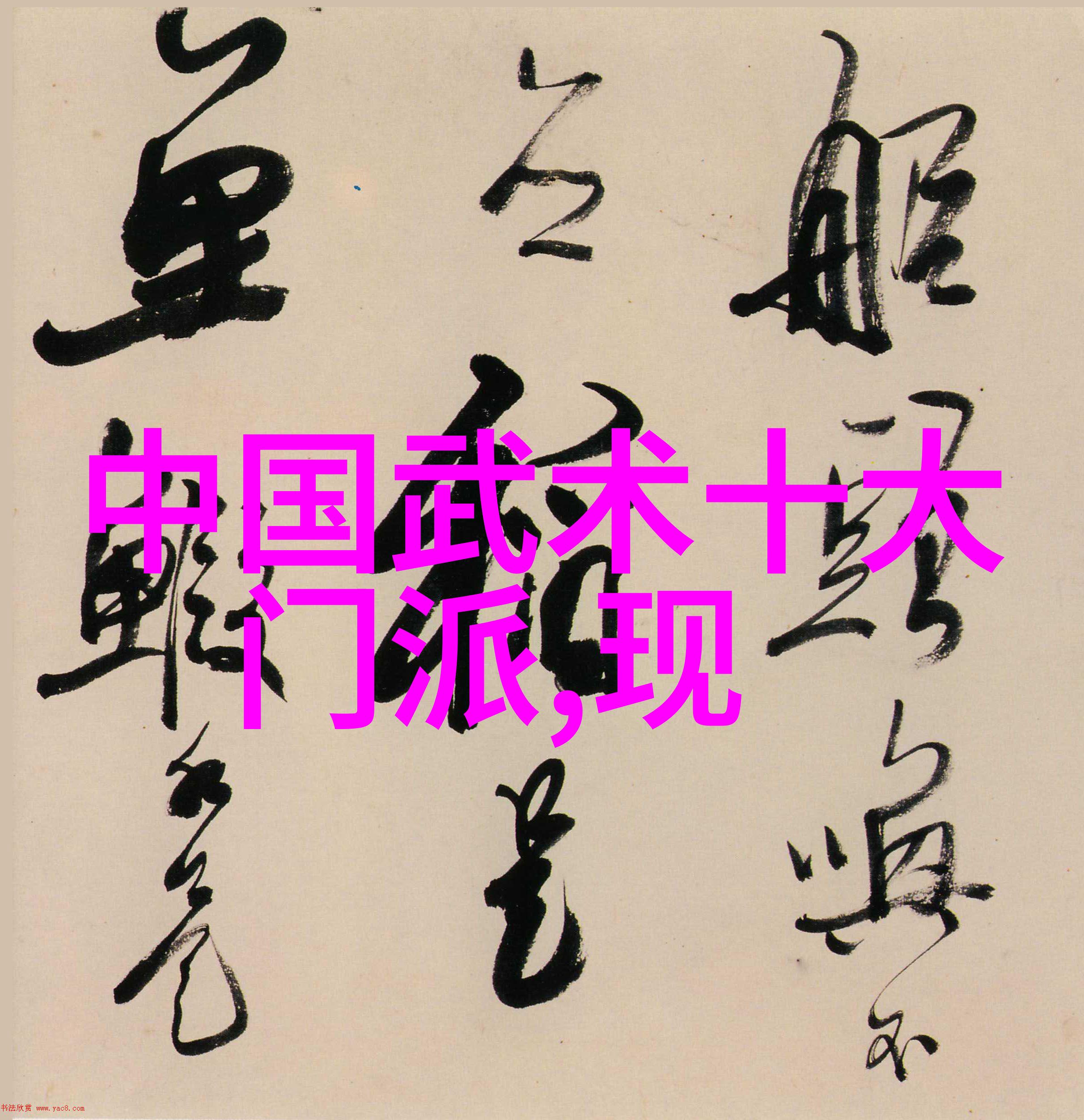 修炼之路基础武功秘籍的精华篇