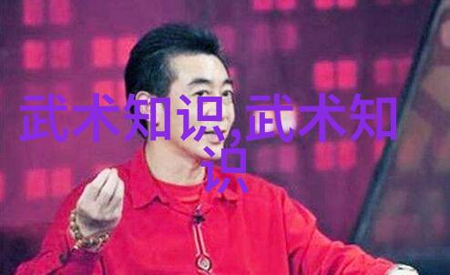 李雅轩太极拳论汇编古代武功秘籍中的灵魂之作