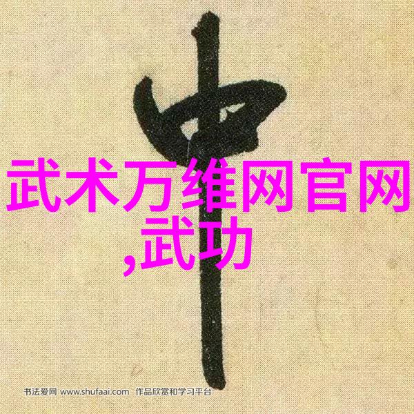 防御与进攻拳法十六招式中的平衡之道