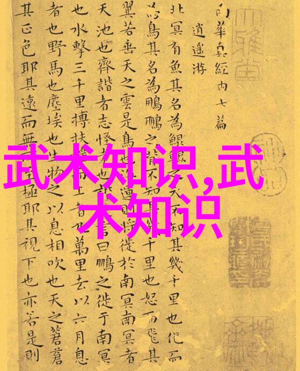 武术教育-掌握四十式太极拳视频带口令的全方位学习指南