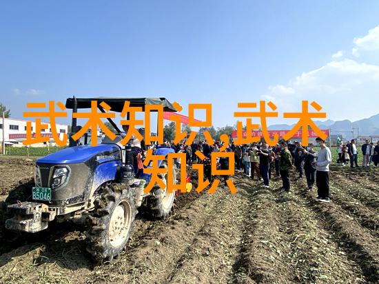金庸小说中最强绝世神功排名TOP10武当圣火真龙神功斗零门一阳指九阴真经中的独孤九剑等