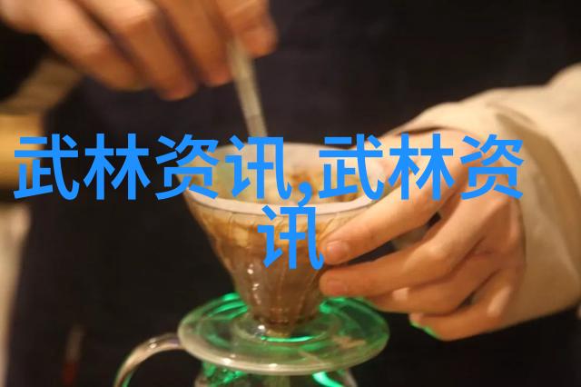 武当门派-武当十五代传人秘籍寻踪天下最强后继