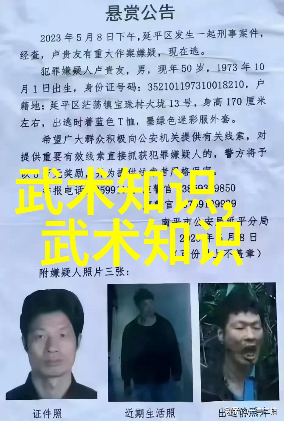 宝贝这才几天没做水公交车-宝贝的水上公交之旅探索城市另一面