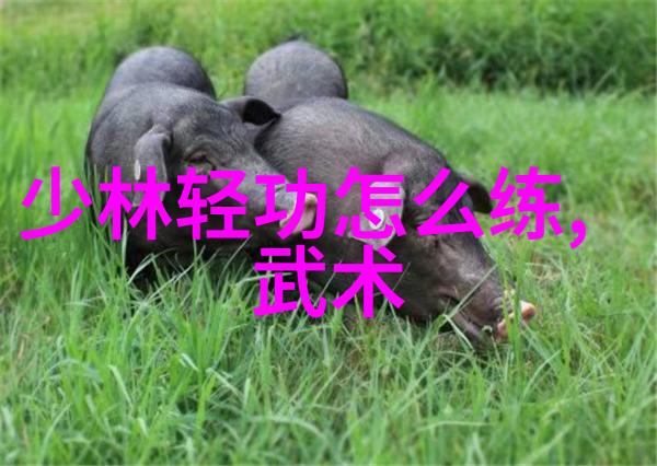 图文太极拳世界第一人 吴雅楠