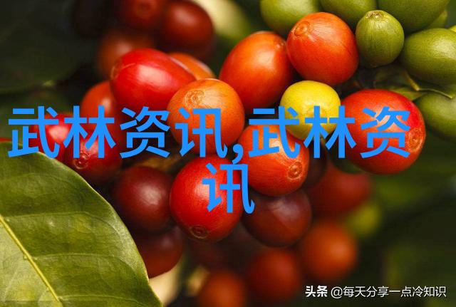 古风家族的鹰爪翻子拳犹如天上的流星划过夜空璀璨夺目