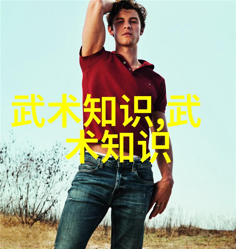体会内在力量深入学习邱慧芳24式太极拳
