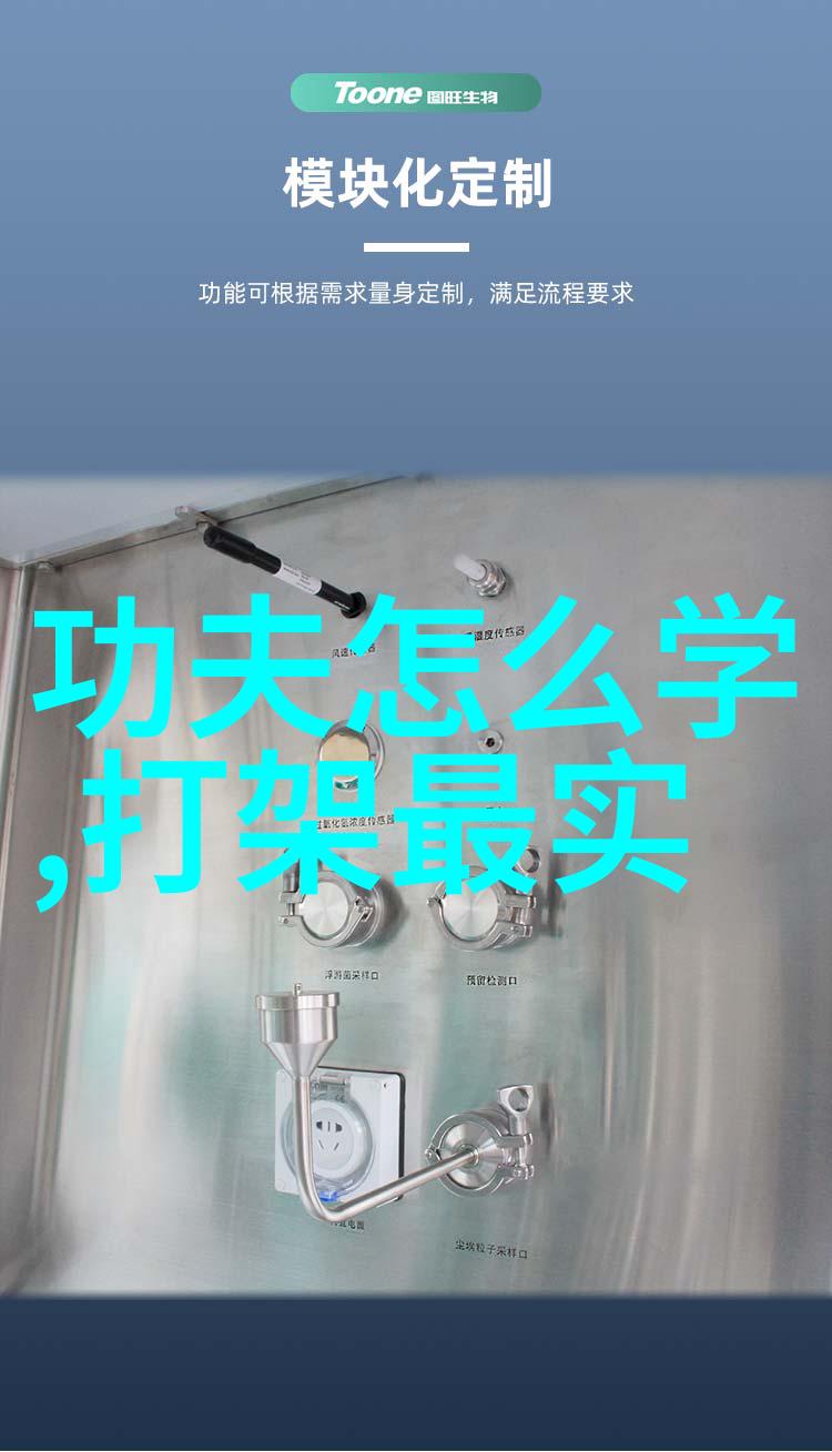 听雨仙盟梦幻之境中的好听仙盟名称探索