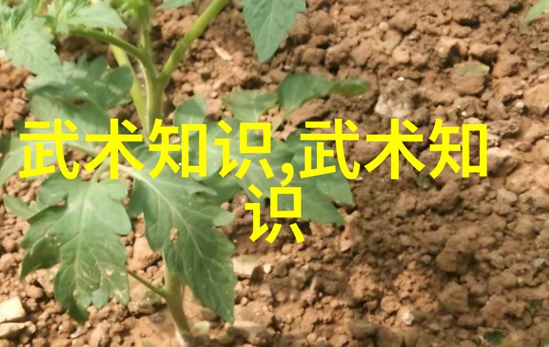 古云幽梦仙气飘渺的好听帮派