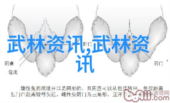 诗意的帮会名古风-幽梦幢影探寻江湖中古韵帮会之谜