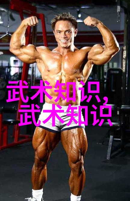 解锁拳法之谜武功秘籍大全的奥义