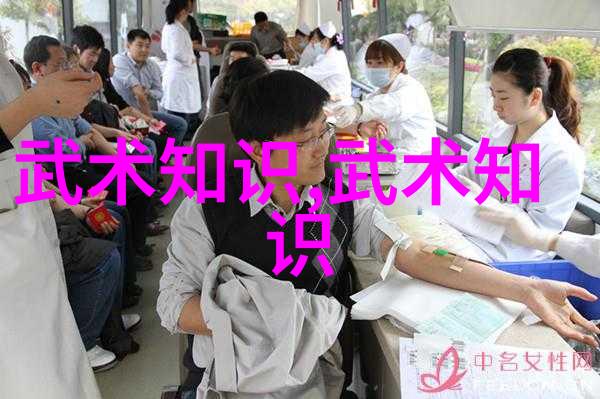 适应现代生活节奏的传统武艺怎样将老式技巧融入日常锻炼中