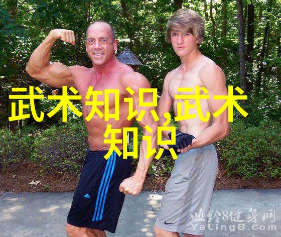 轻盈如羽掌握轻功翱翔九天之上