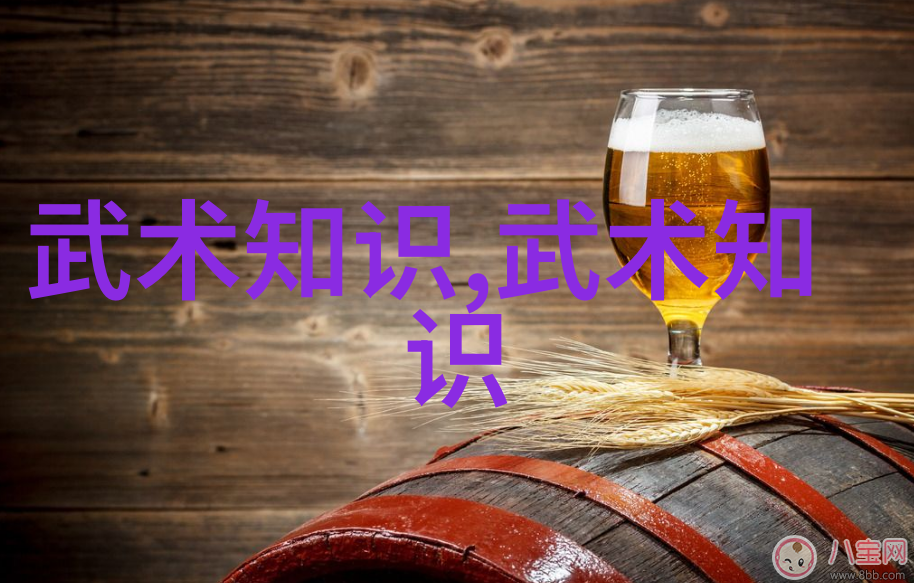 武术学习-掌握48式太极拳全套视频带口令深度解析与实践指南