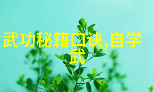 练轻功最快的方法 - 灵动身法一日千斤的秘诀揭秘