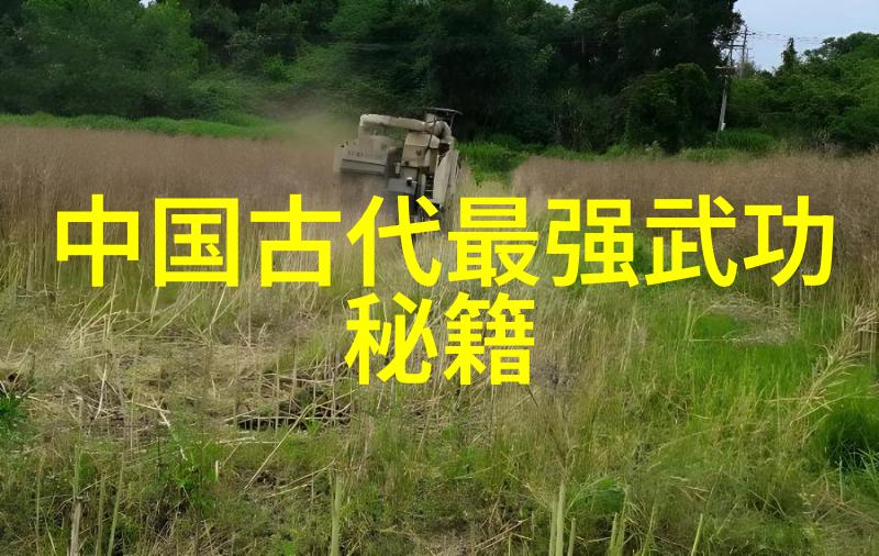 龙腾虎跃中国武术门派之谜