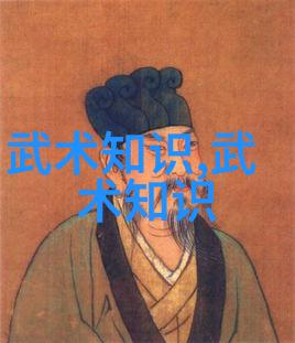 太极24式分解式介绍-揭秘内家拳法的精髓与实战应用