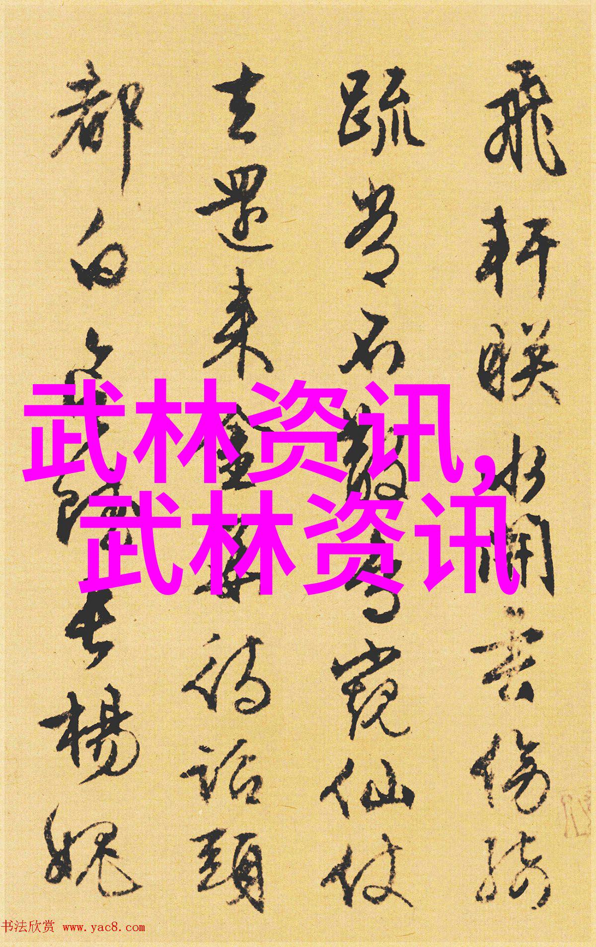 中国武学秘籍拳影中的战略与技巧