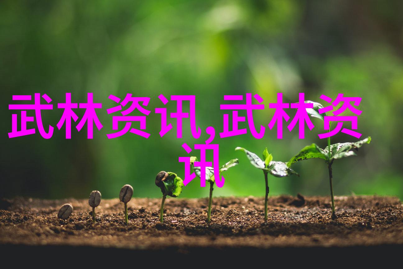 揭秘武林奥秘探寻真正武功秘籍中的内幕