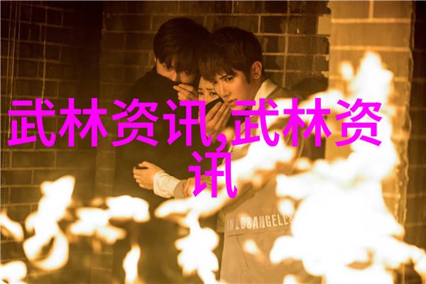 古风帮派何氏弹腿术