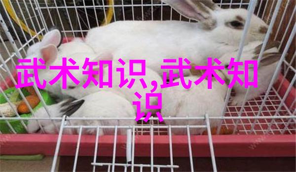 八三年武术事件龙腾虎啸的江湖风云