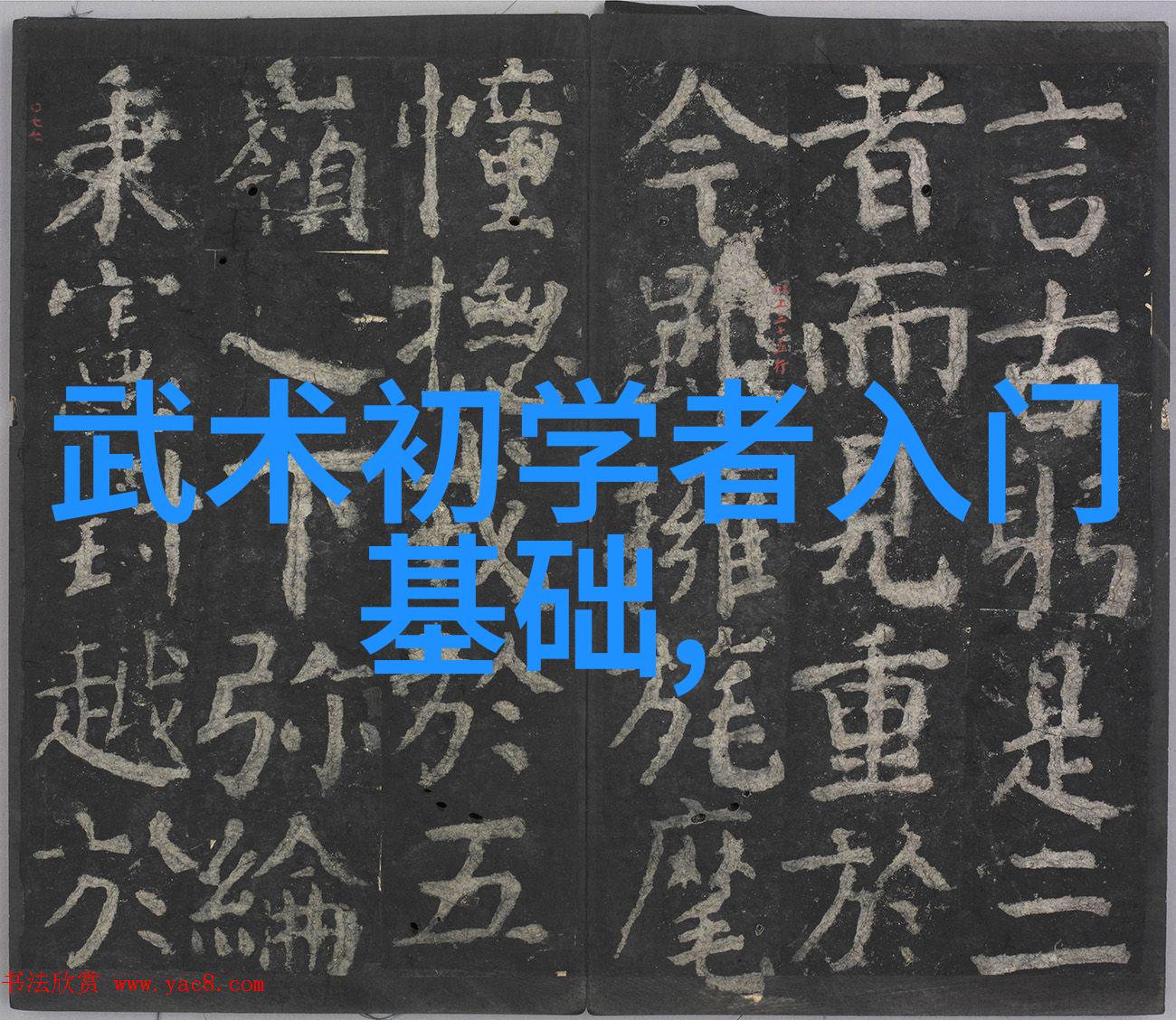 中国武功秘籍编纂与研究系统探究古代内家外家的武学遗产