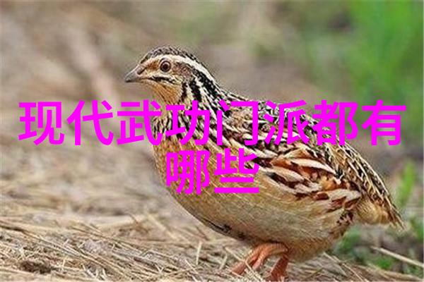 学练太极秘法-高继寿古武功法无穷乐藏于物品之中
