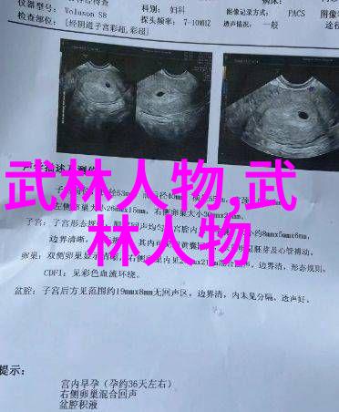 武林秘籍大全太极拳猫形步的练法与运用