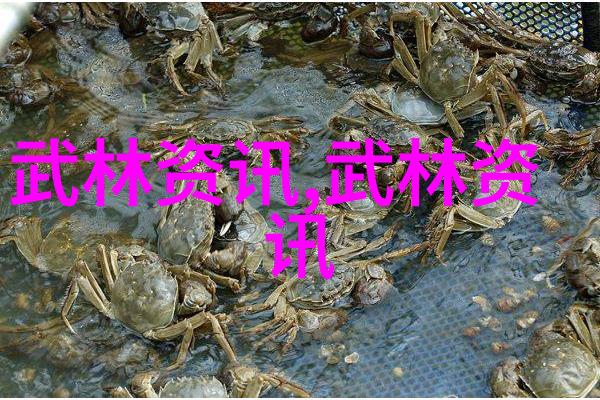 江湖秘籍津门五行通背帮派名字大全逆风破浪之旅