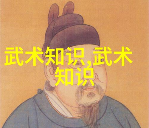 百家争鸣千手掌门人揭开那些影响巨大的少林寺与黄庭家的神奇故事