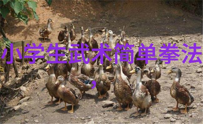 什么是最具神奇效果的古代武功秘籍