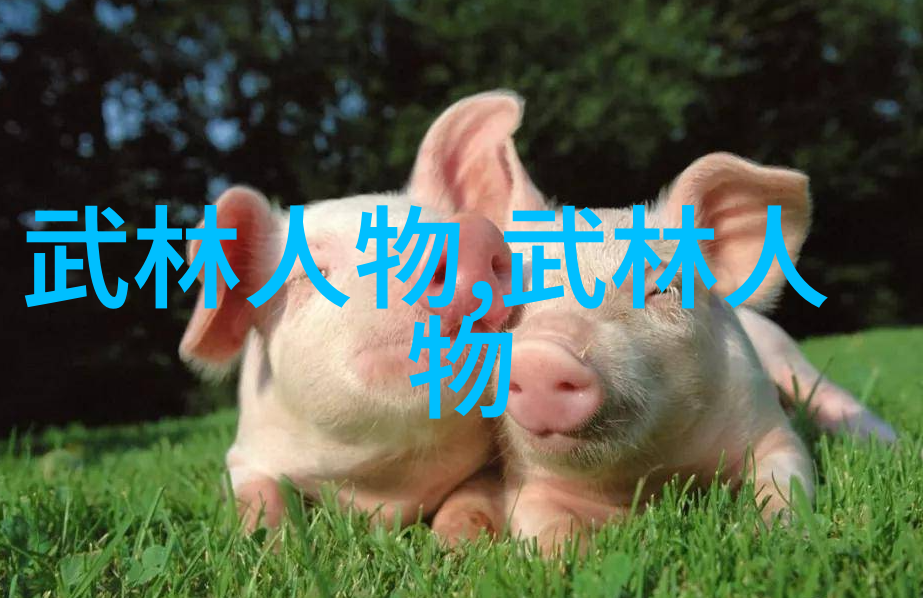 中华武学之巅探秘太极拳的奥秘