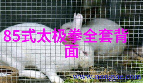 从字面到深层含义解读那些带有诗意的帮派称号