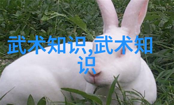 武林秘籍千年招式拳影成真