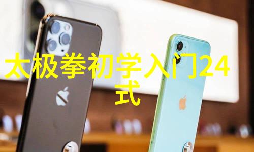 形意拳哪个流派厉害 - 形意拳流派大比拼揭秘每一路的独到之处