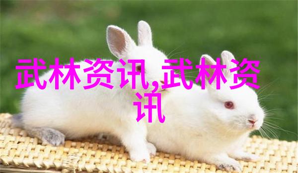 响亮霸气的帮派名字四川杨门和江湖中其他门派拳种一样各有千秋